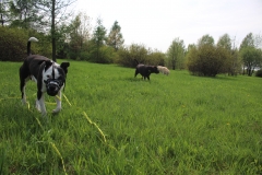 16 (2)