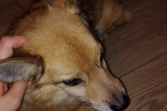 21441396_10213947804877615_1060480963_o