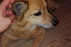 21441402_10213947804637609_256814631_o