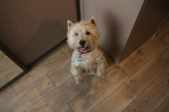 22199199_1497334663693320_1695053192_o