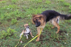 999