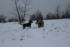 IMG_0148