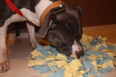IMG_0197