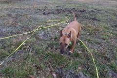 IMG_0747