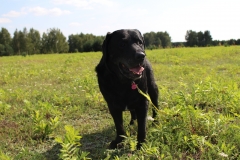 IMG_2010