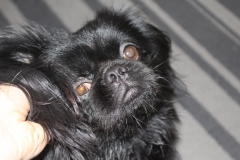 IMG_5977