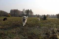 IMG_6002 (2)