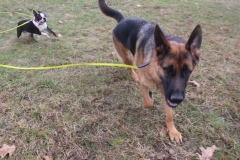 IMG_6162