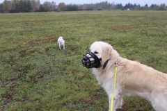 IMG_7279
