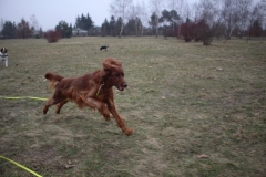 IMG_7440