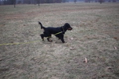 IMG_7460