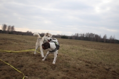 IMG_8575
