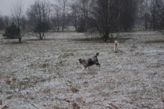 IMG_9964