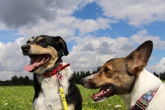 aaaa